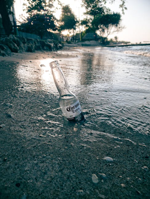 Athens GA Video Advertising - video advertising for local businesses